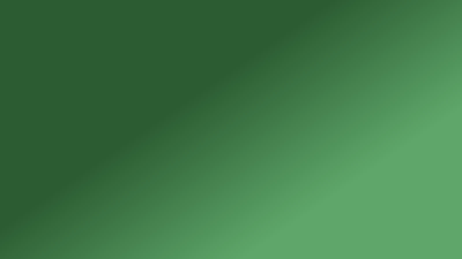 Image linked to wordpress.org